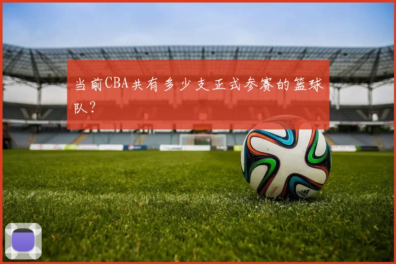 当前CBA共有多少支正式参赛的篮球队？