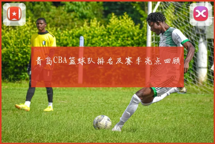 青岛CBA篮球队排名及赛季亮点回顾