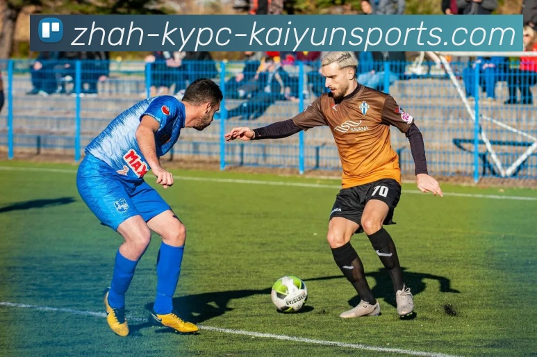 开云体育APP 高清赛事图